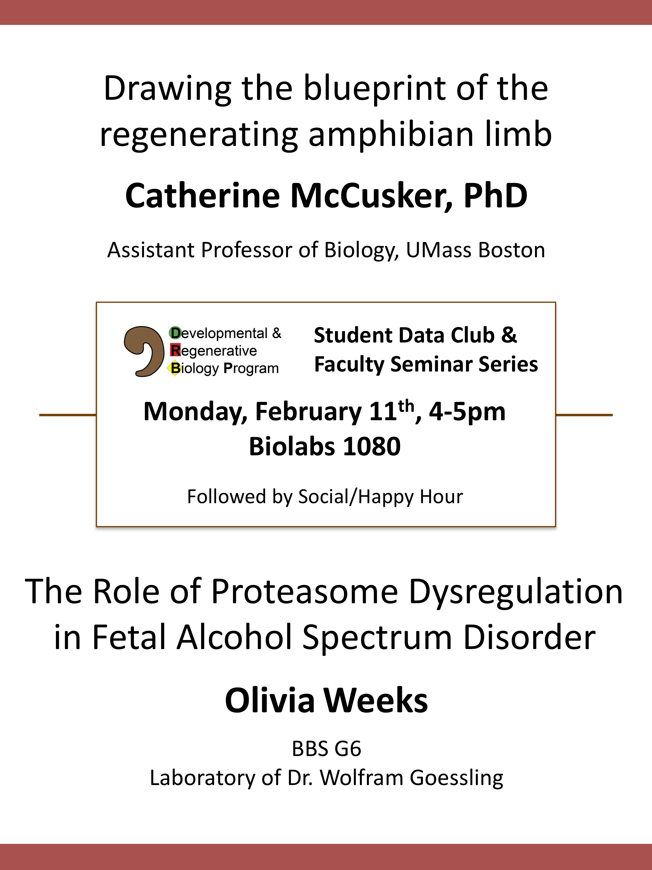DRB seminar Feb 11