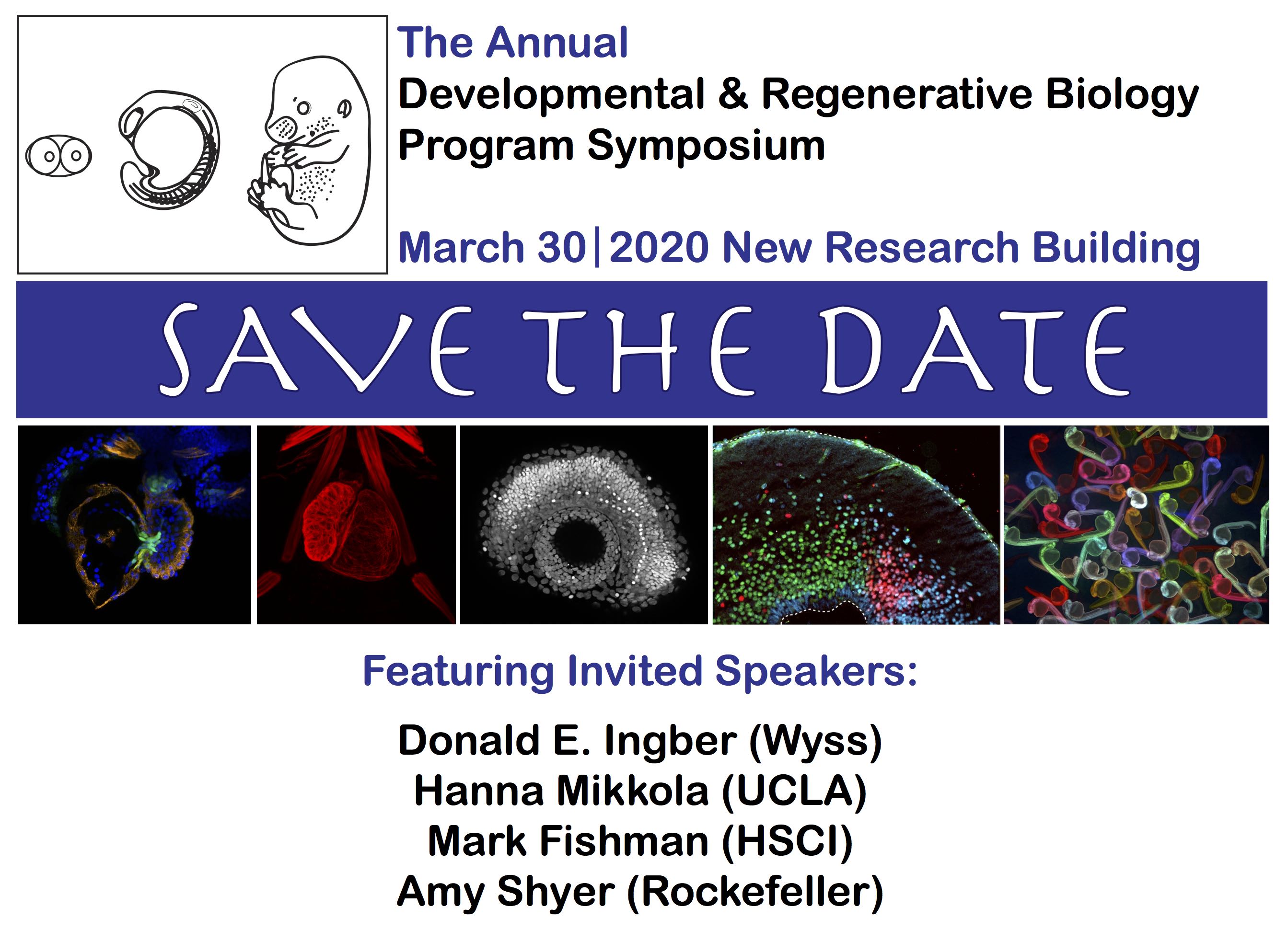 DRB Retreat poster image