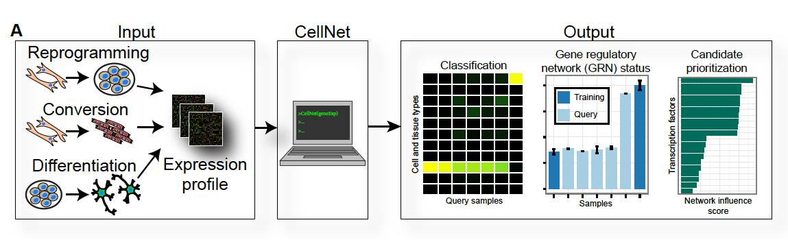 fig_1a-cellnet_schematic.jpg