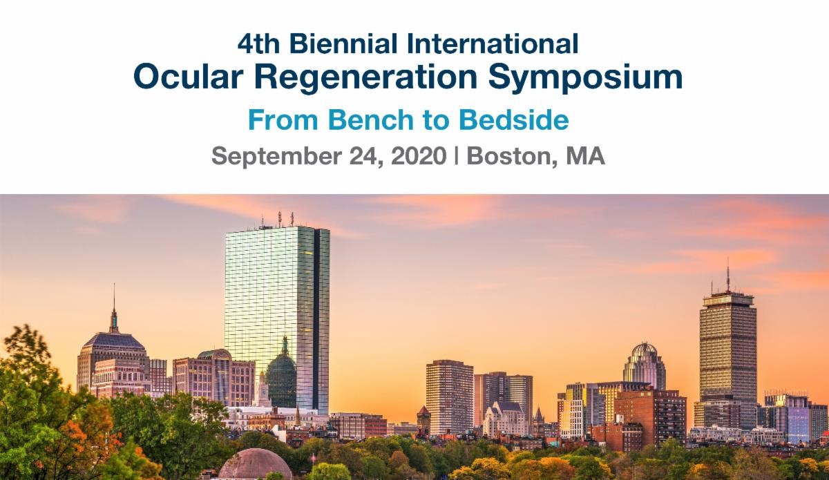 Ocular Regeneration Image