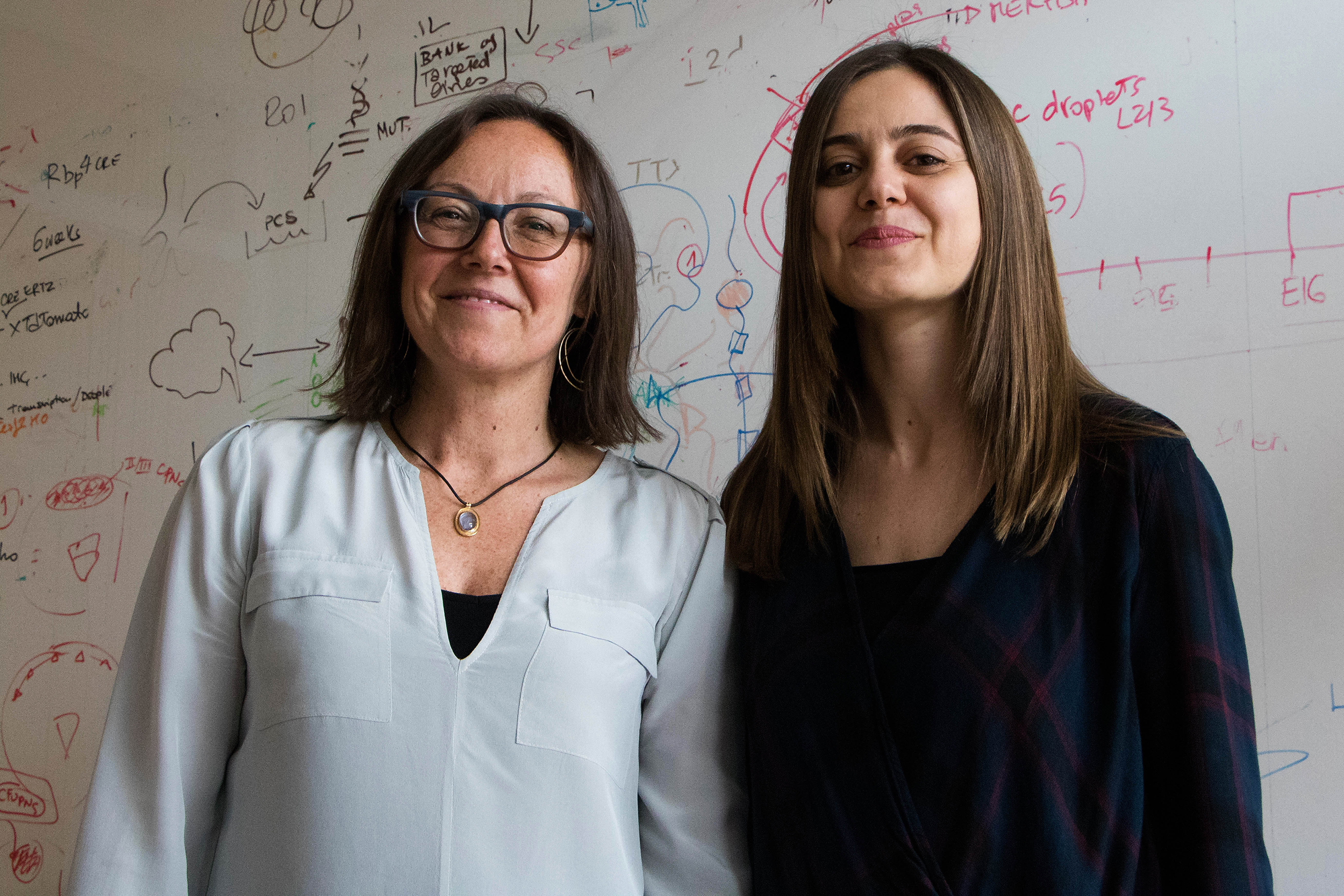 Paola Arlotta (left) and Giorgia Quadrato (right)