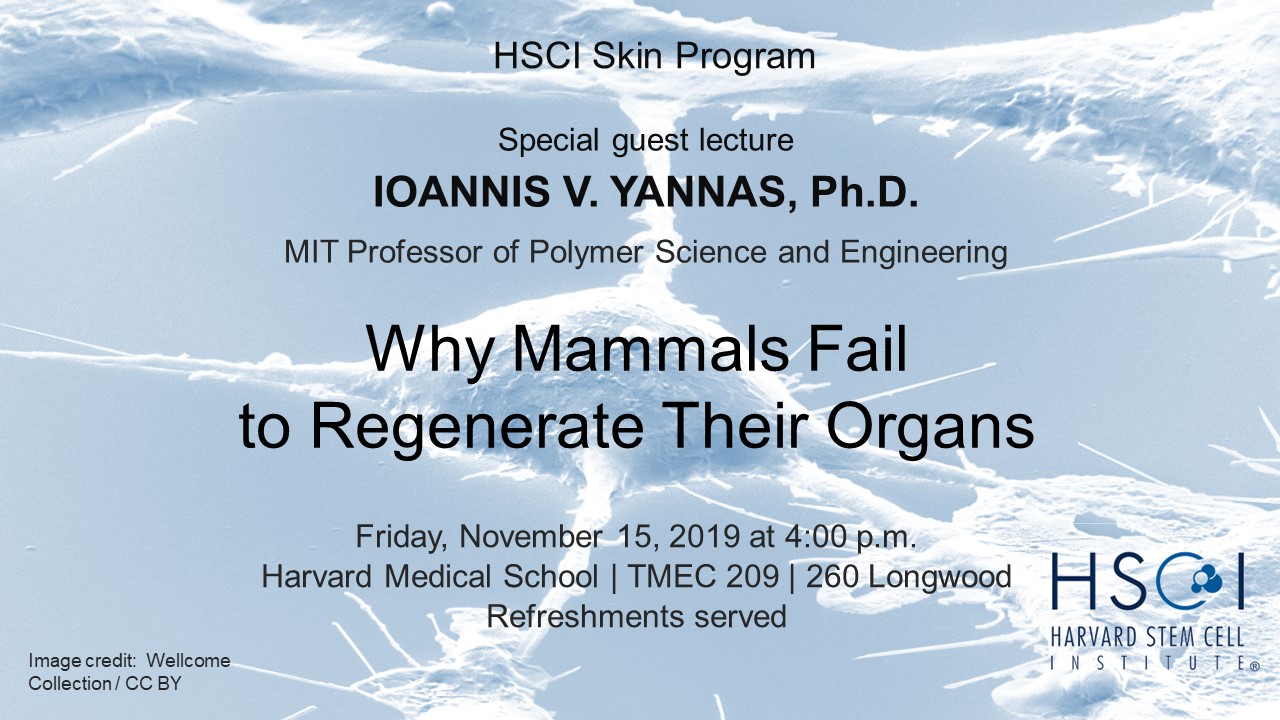 Yannas seminar image