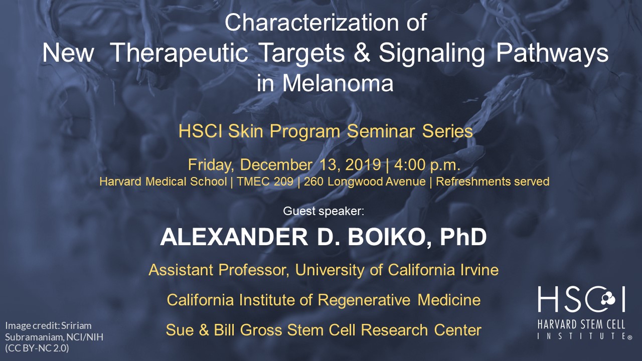 Boiko seminar flyer image