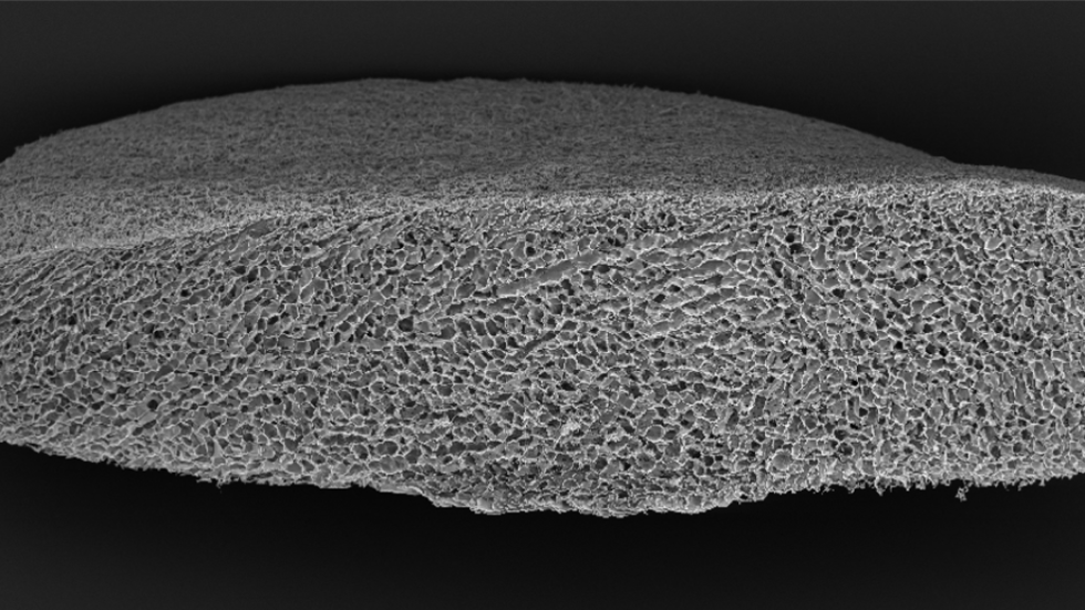 injectable sponge enhances T-cell production