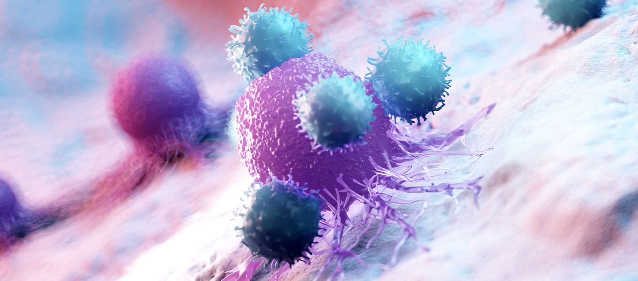 Stock image of white blood cells