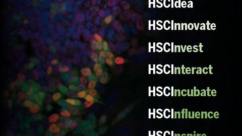 Cover of 2012 HSCI Annual Report.