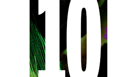 Cover of 2014 HSCI Annual Report.
