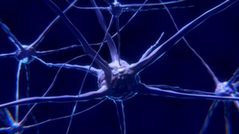 neuron.jpg