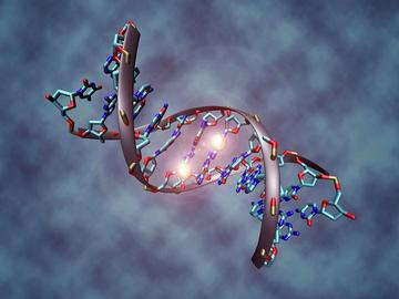 800px-DNA_methylation.jpg