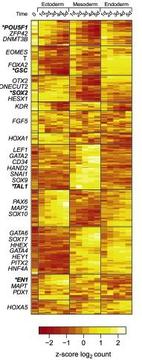 MeissnerGraph.jpg