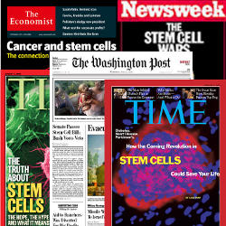 Stem%20Cells%20in%20the%20Media.jpg