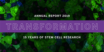 Annual Report 2019.