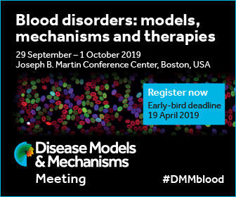 DMM Blood Disorders poster image