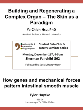DRB Seminar flyer image
