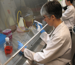 Lab technician working