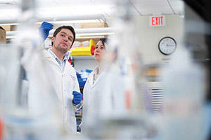 Luk Vandenberghe in the lab