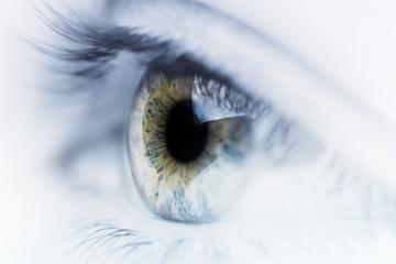 iStock_000016945312Medium.jpg