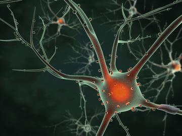 iStock_000019285569Medium.jpg