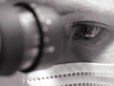 Parkinsons06SCL.jpg