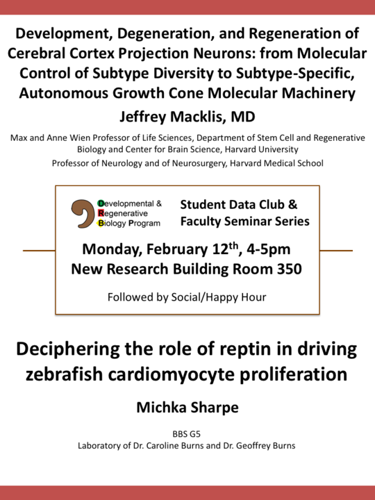DRB flyer image 20180212