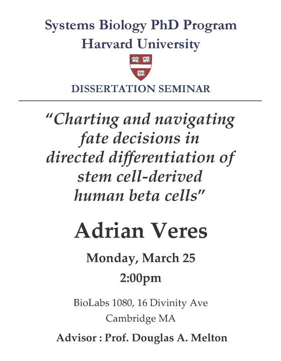 Dissertation Seminar - Adrian Vernes