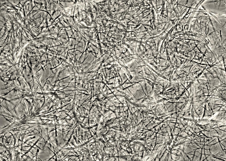 hydrogel_fibers_-_story.jpg