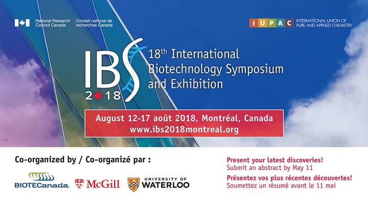 IBS logo image