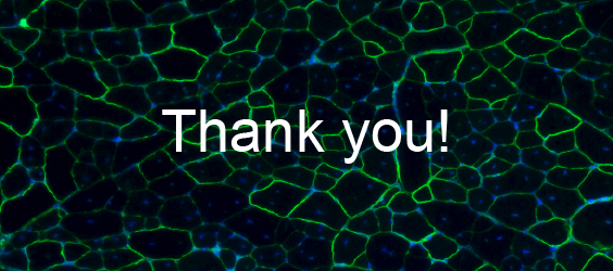 Thank you!