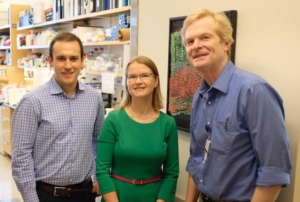 Richard Smith, Maria Lehtinen, and Christopher Walsh