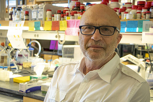 Portrait of Clifford Woolf in the laboratory, 2018