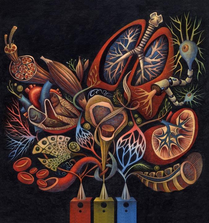 Wyss Symposium 2017 image