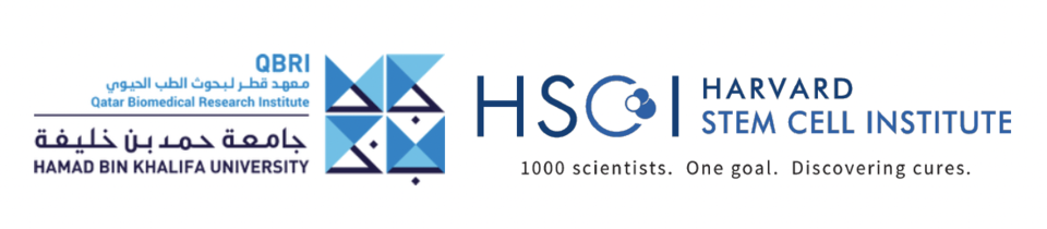 QBRI-HSCI