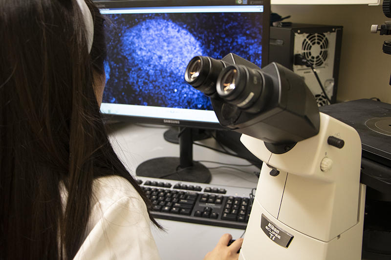 Photo of scientist working in Cowan laboratory