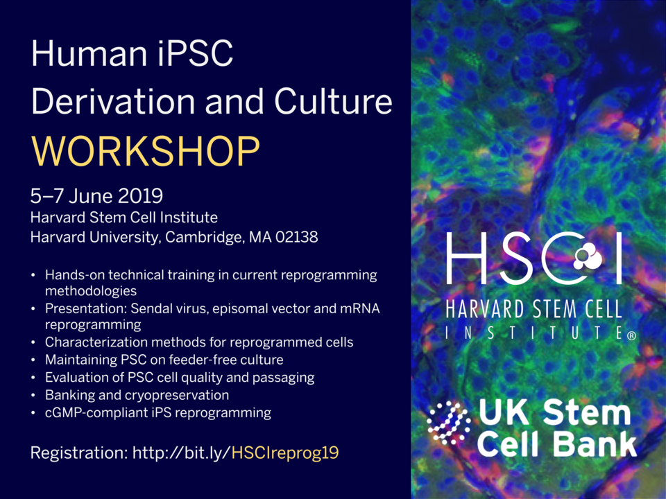 Reprogramming workshop flyer image