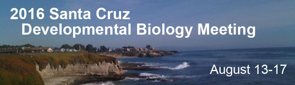 santa_cruz_website.jpg