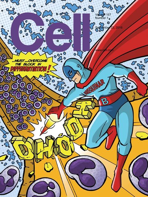 cell_cover.jpg