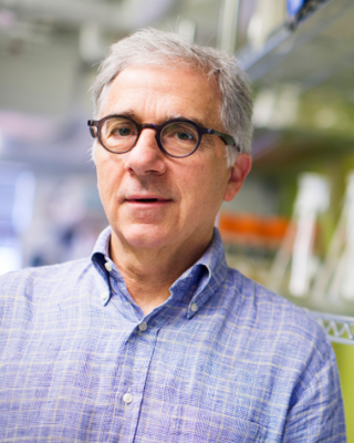 Headshot, Doug Melton, PhD, Credit: Stephanie Mitchell, Harvard