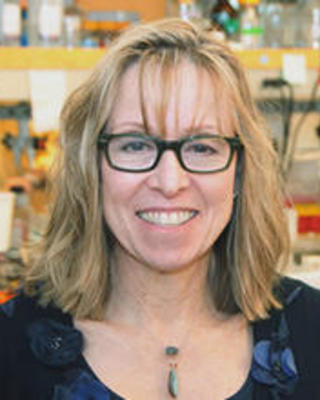 Vicky Rosen photo credit Harvard Gazette