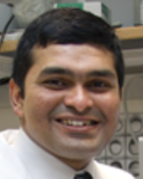 d_shah_2.png