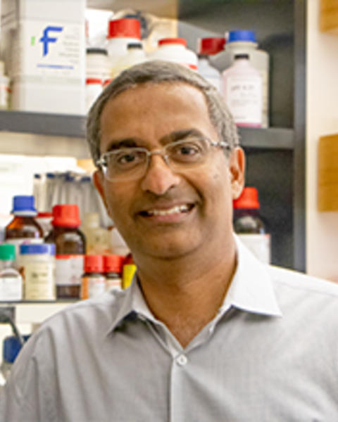 Ramesh Shivdasani in his laboratory