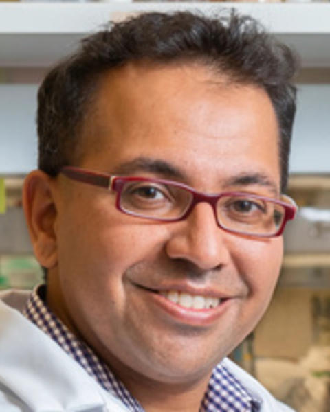 Man with short dark hair and red glasses wearing a lab coat smiling in front of blurred lab setting