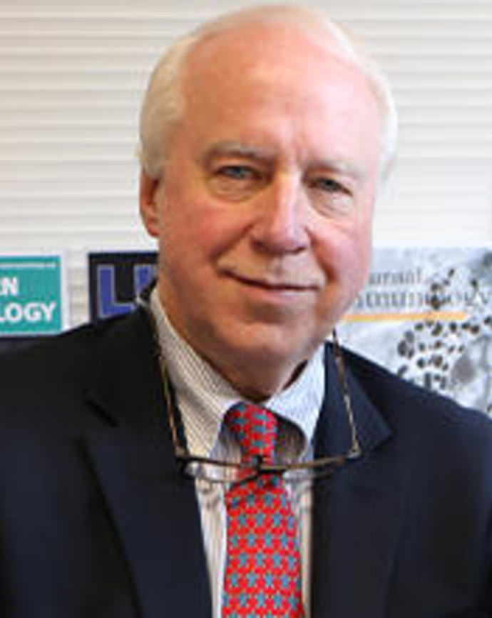 George F. Murphy, HSCI Skin Program